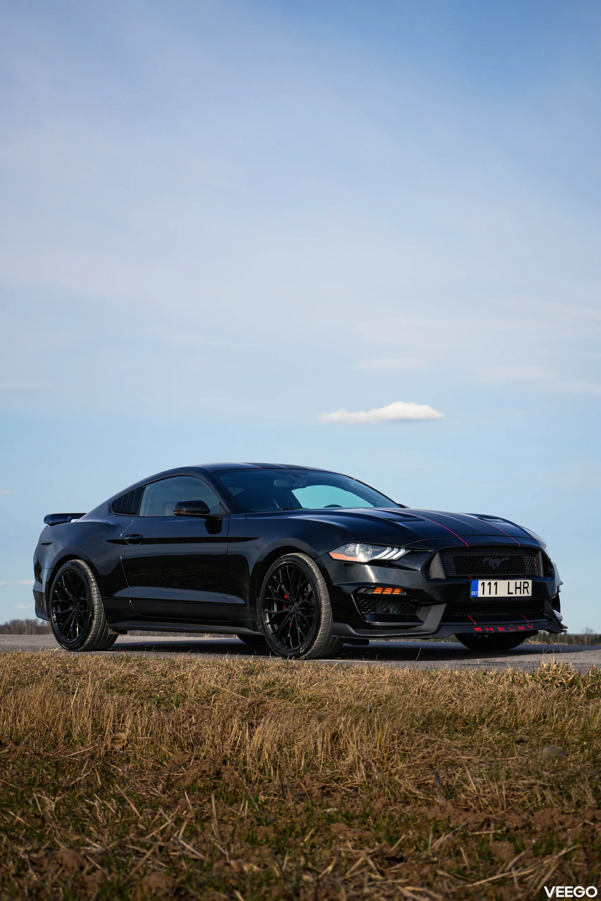 Ford Mustang FACELIFT SHELBY GT500 2.3 231kW