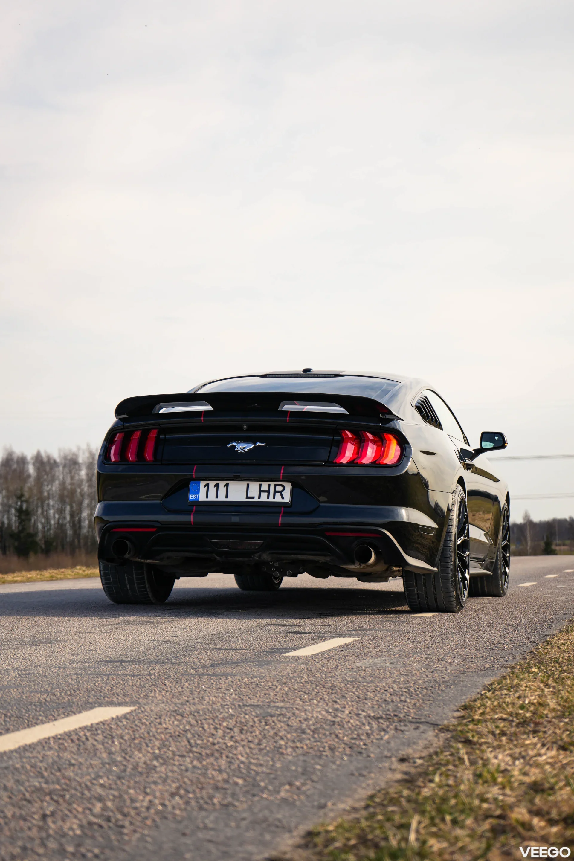 Ford Mustang FACELIFT SHELBY GT500 2.3 231kW
