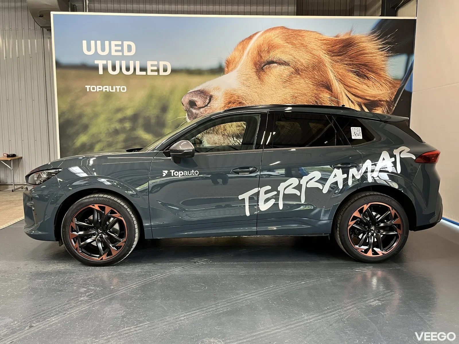 Cupra Terramar 2 195kW