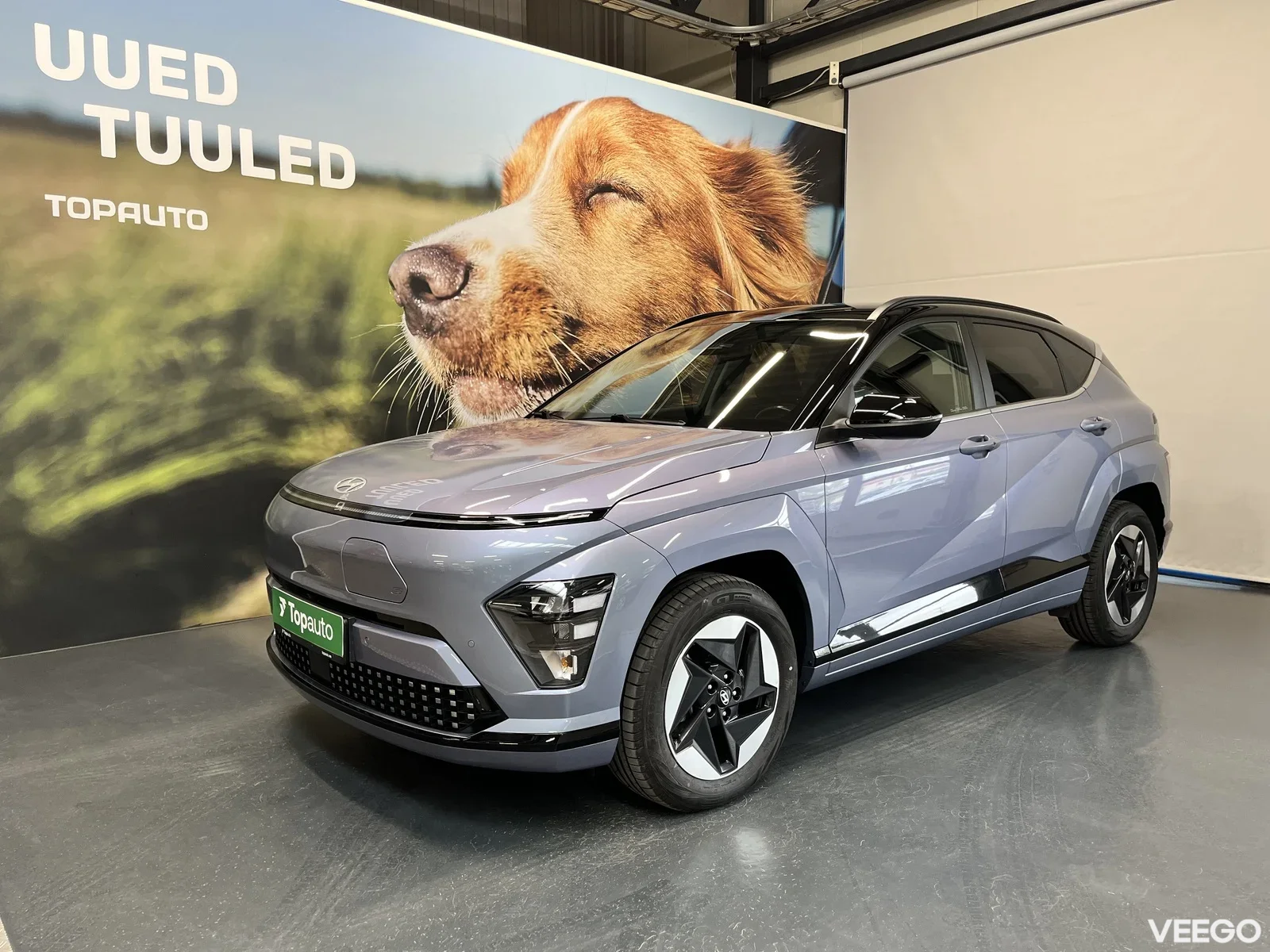 Hyundai Kona 53kW