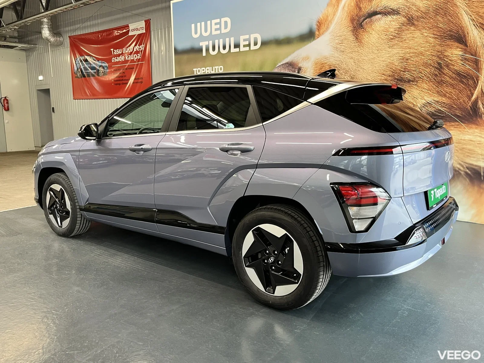 Hyundai Kona 53kW