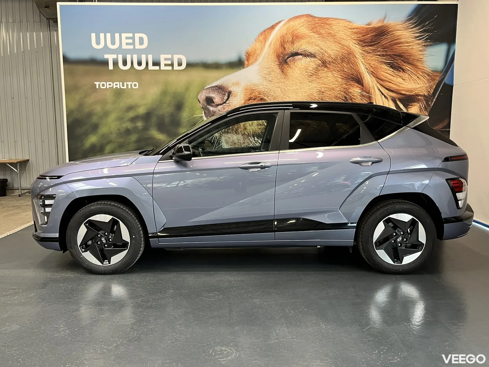 Hyundai Kona 53kW