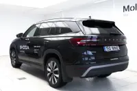 Skoda Kodiaq 142kW thumbnail