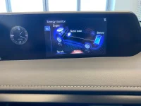 Lexus UX 250h - 112kW