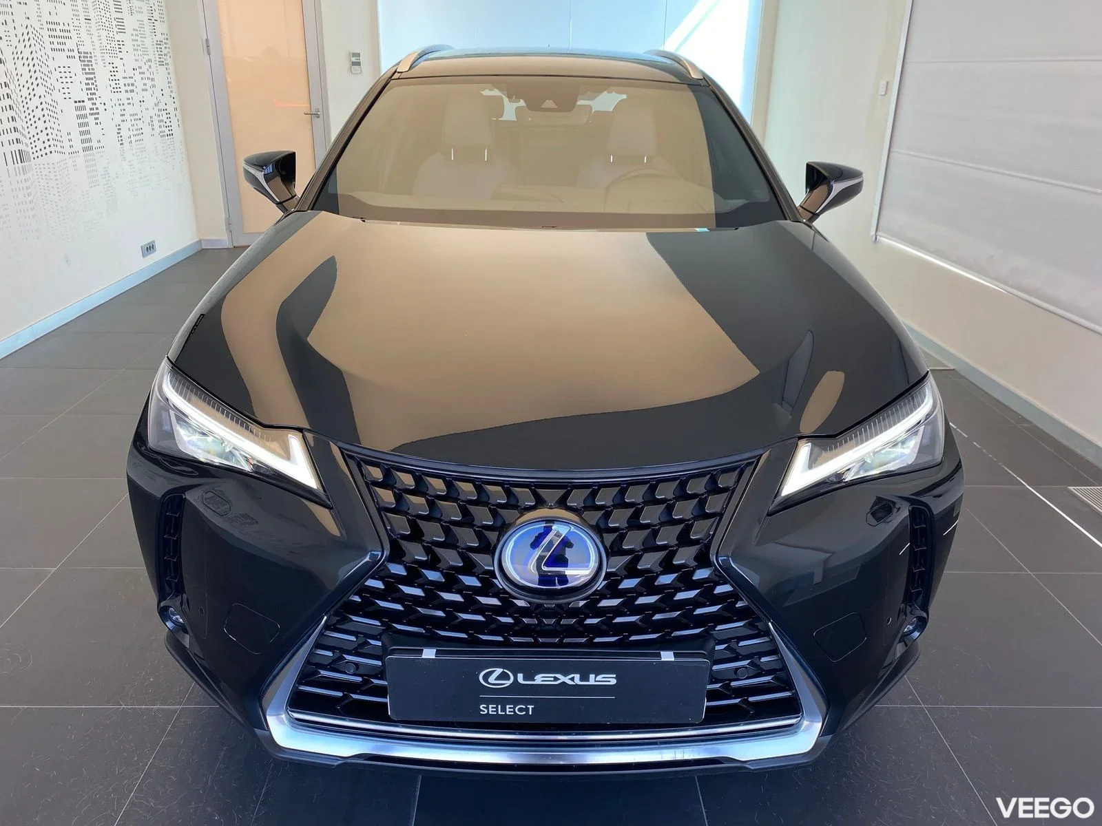 Lexus UX 250h - 112kW
