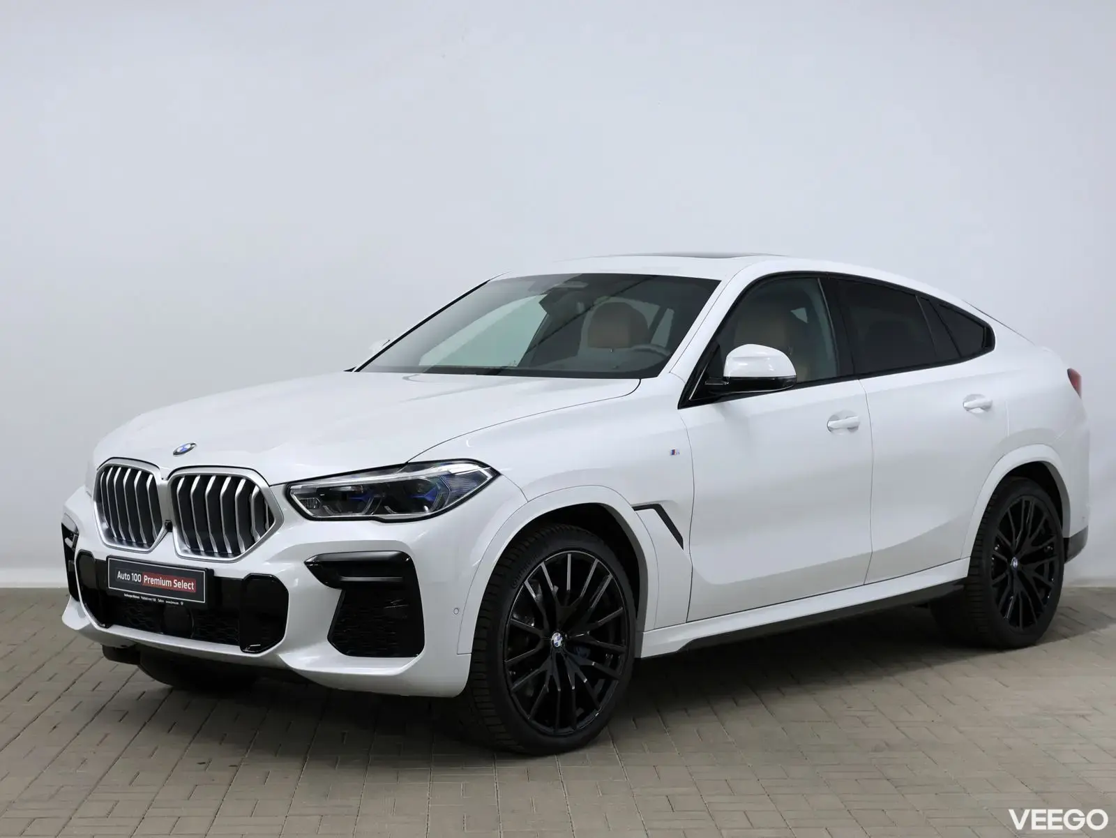 BMW X6 - 245kW