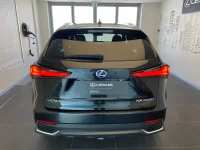 Lexus NX 300h - 114kW
