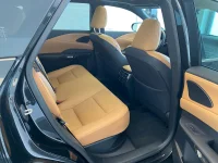 Lexus RX 450h+ - 136kW