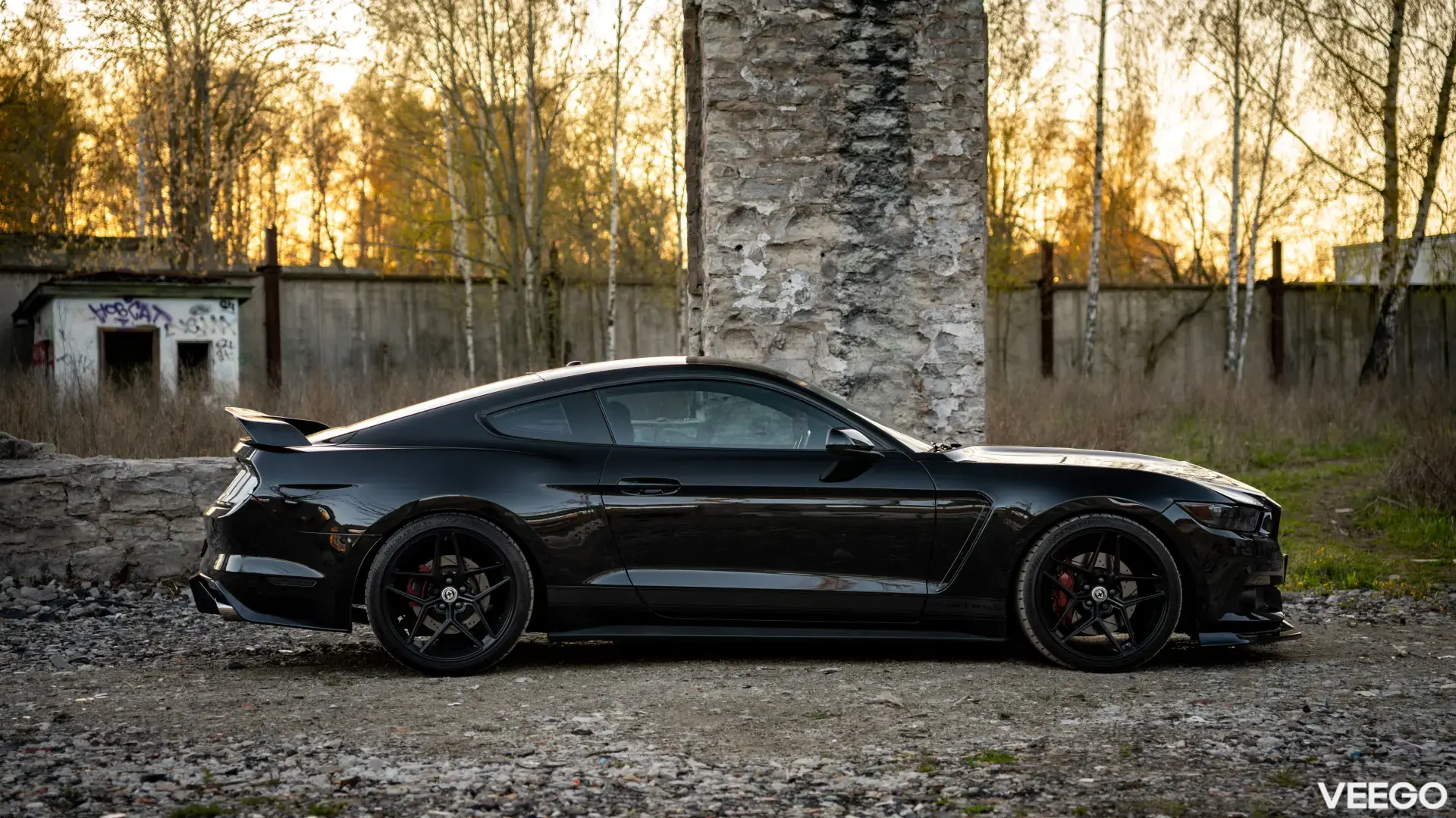 Ford Mustang GT 5.0 324kW