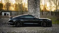 Ford Mustang GT 5.0 324kW thumbnail
