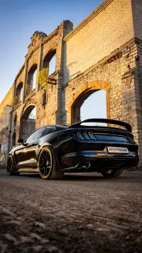 Ford Mustang GT 5.0 324kW thumbnail