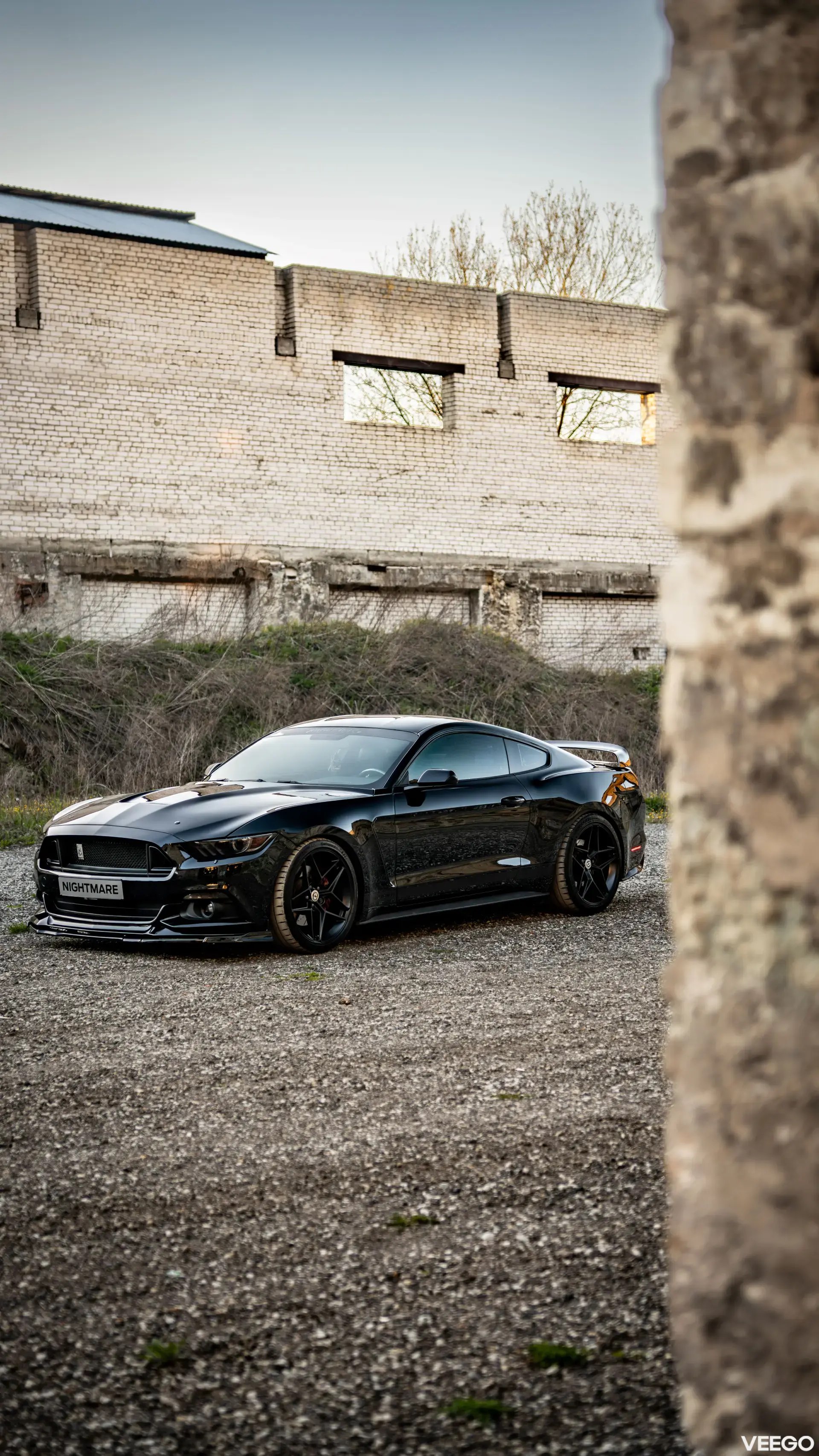 Ford Mustang GT 5.0 324kW