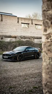 Ford Mustang GT 5.0 324kW thumbnail