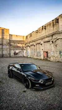 Ford Mustang GT 5.0 324kW thumbnail