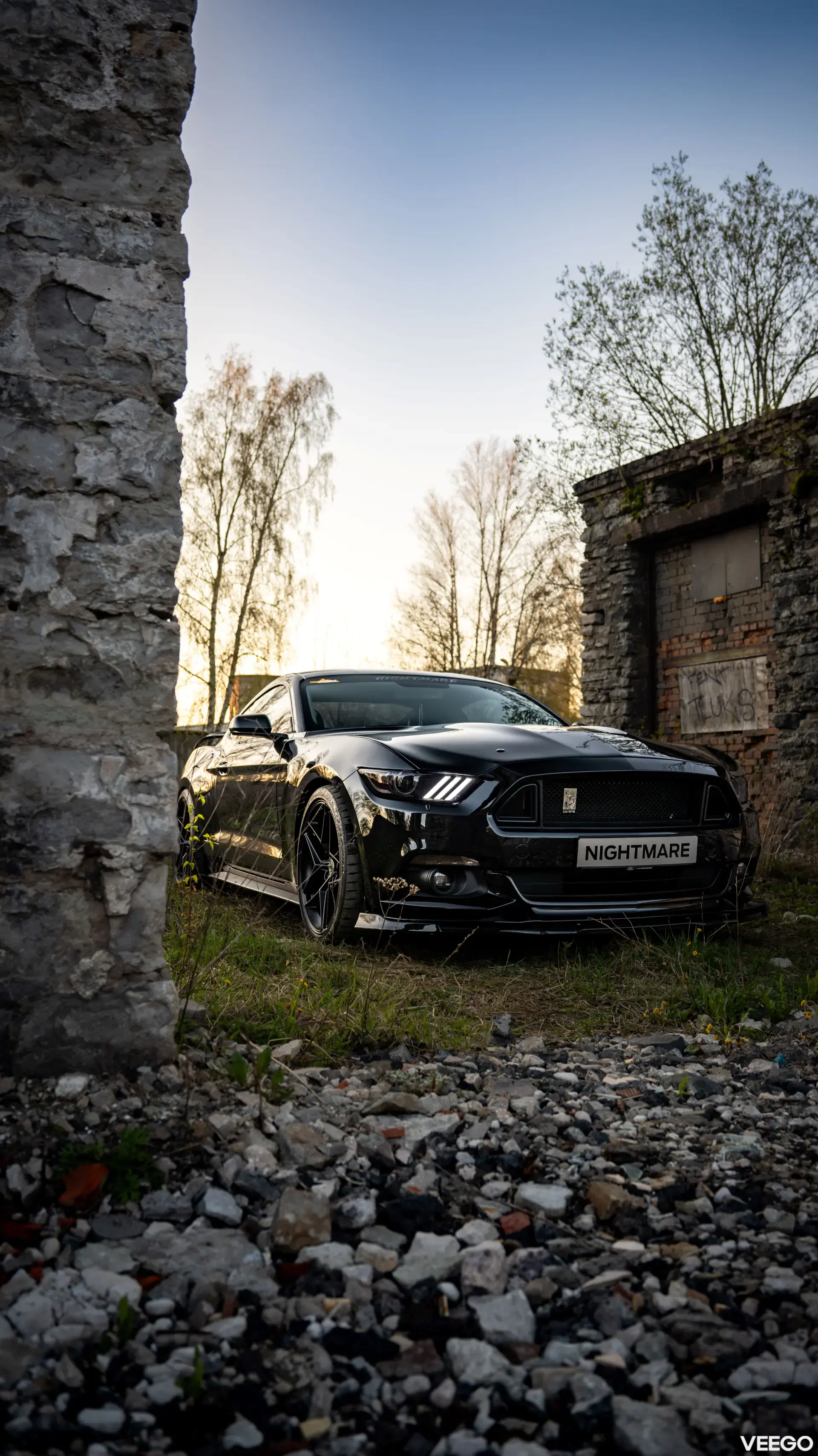 Ford Mustang GT 5.0 324kW