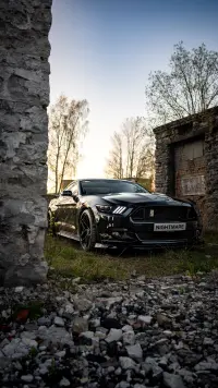 Ford Mustang GT 5.0 324kW thumbnail