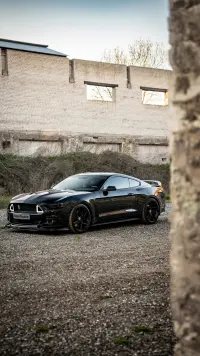 Ford Mustang GT 5.0 324kW thumbnail
