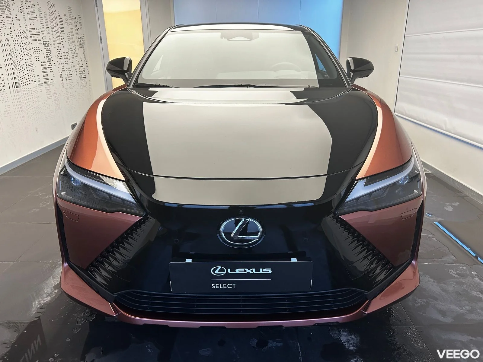 Lexus RZ 450e - 132kW