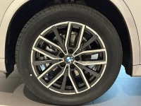 BMW X1 sDrive18i M Sport Drag Backkamera Rattv Tonade 18" 0kW