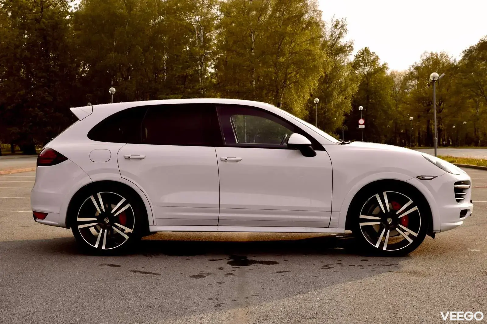 Porsche Cayenne Cayenne 4.8 309kW