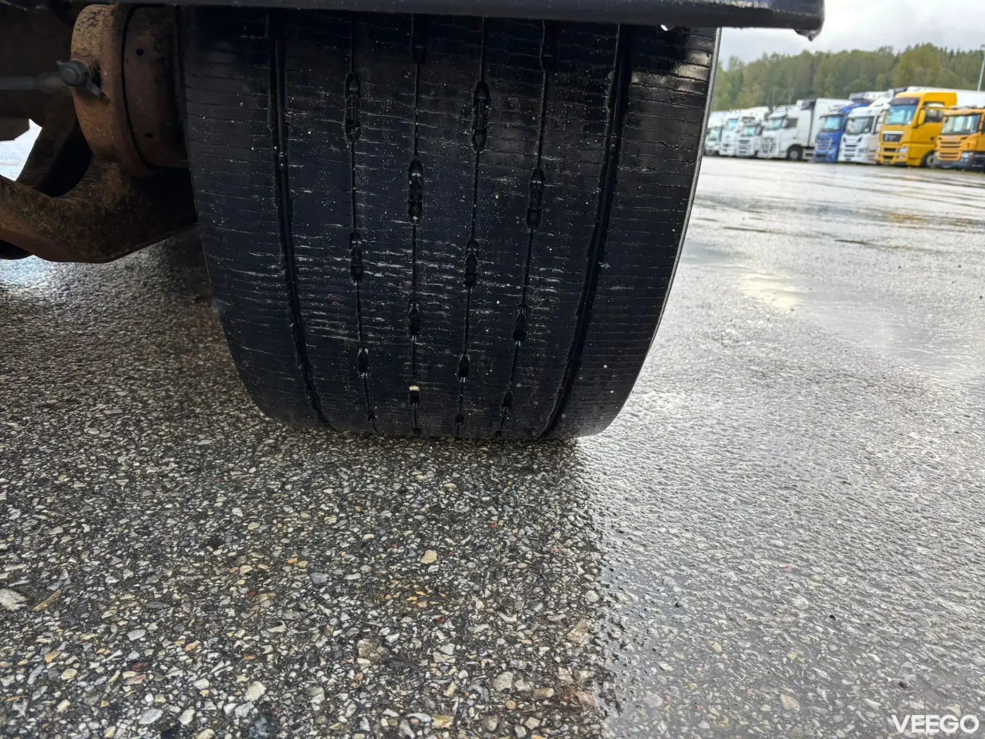 Tyllis Lumikko LUMIKKO + SAF + FULL SIDE OPENING