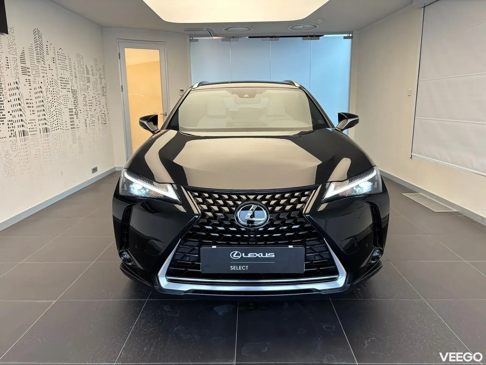 Lexus UX 250h - 132kW