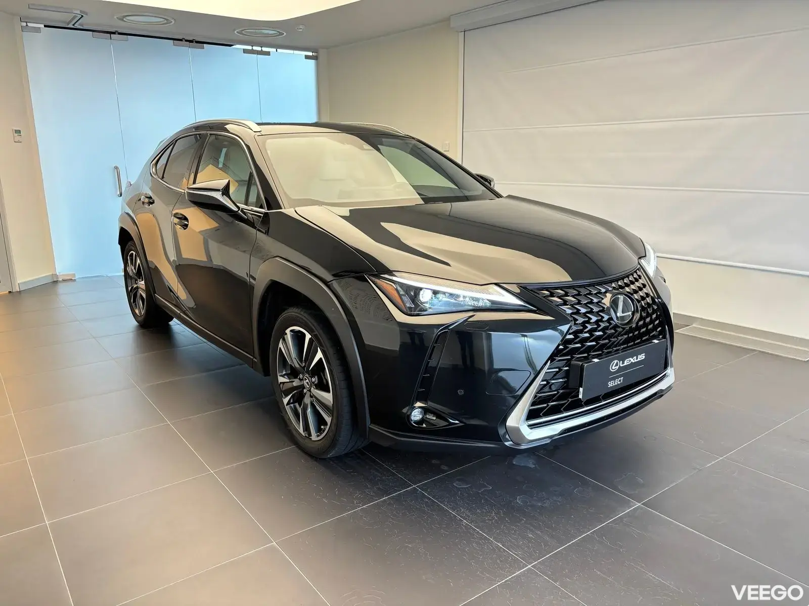 Lexus UX 250h - 132kW