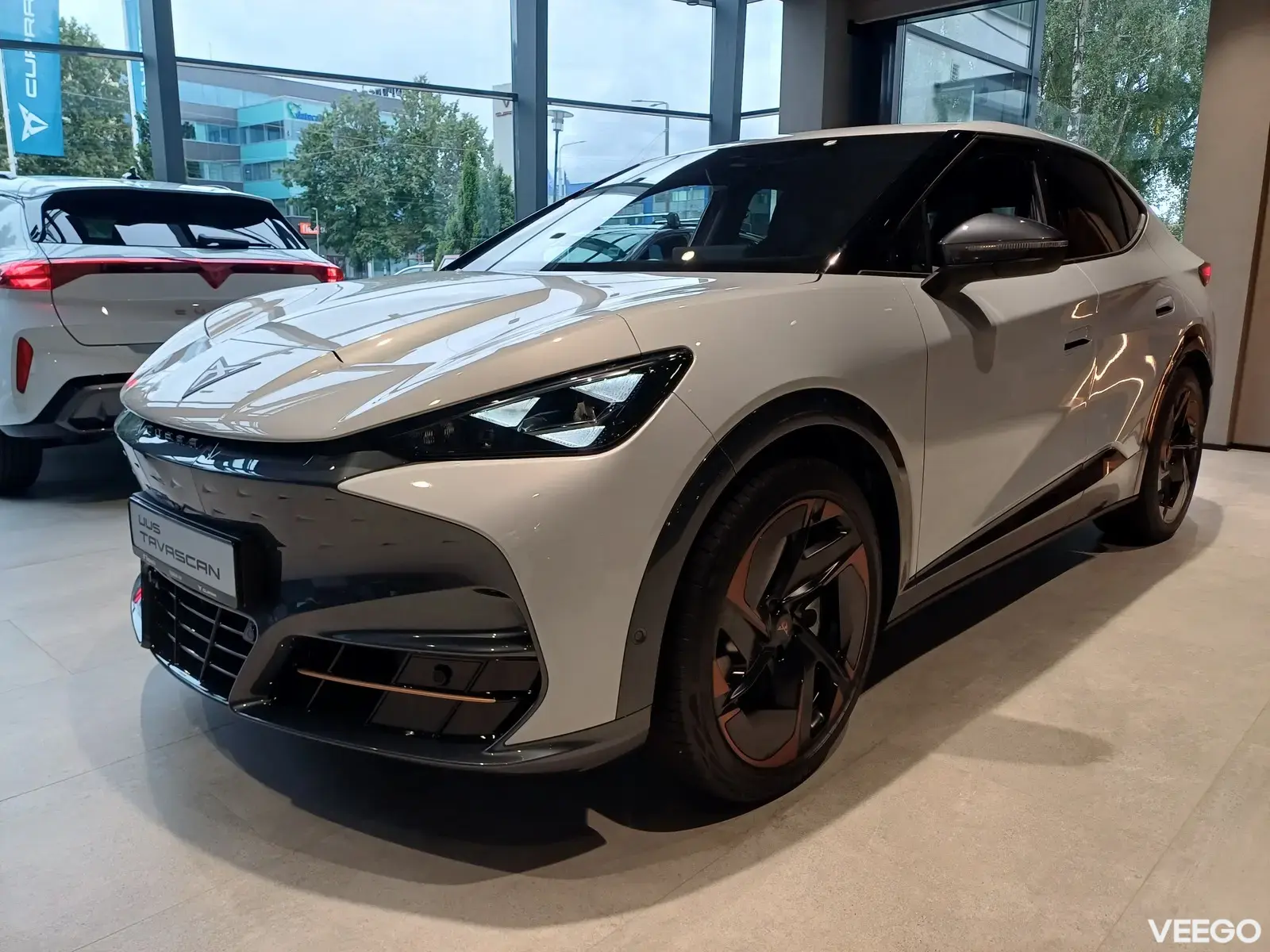Cupra Tavascan 250kW