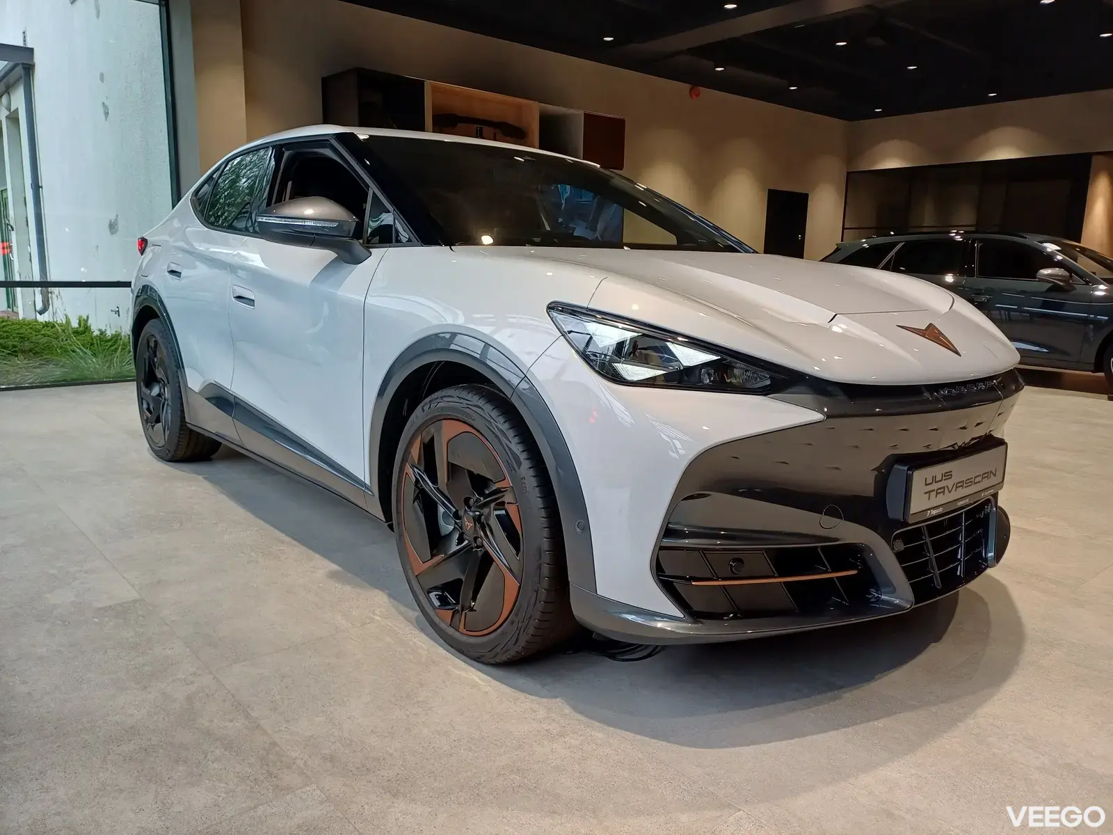 Cupra Tavascan 250kW