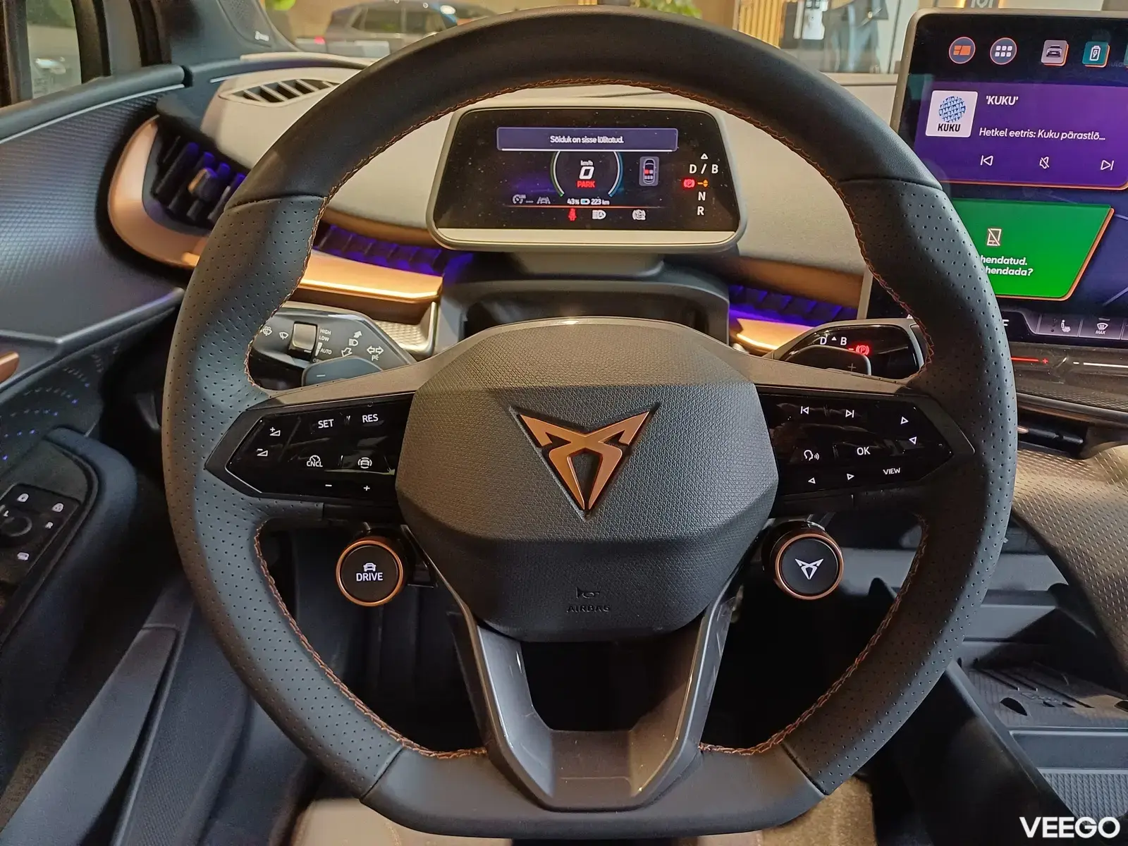 Cupra Tavascan 250kW
