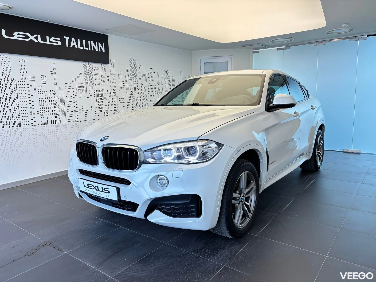 BMW X6 - 190kW