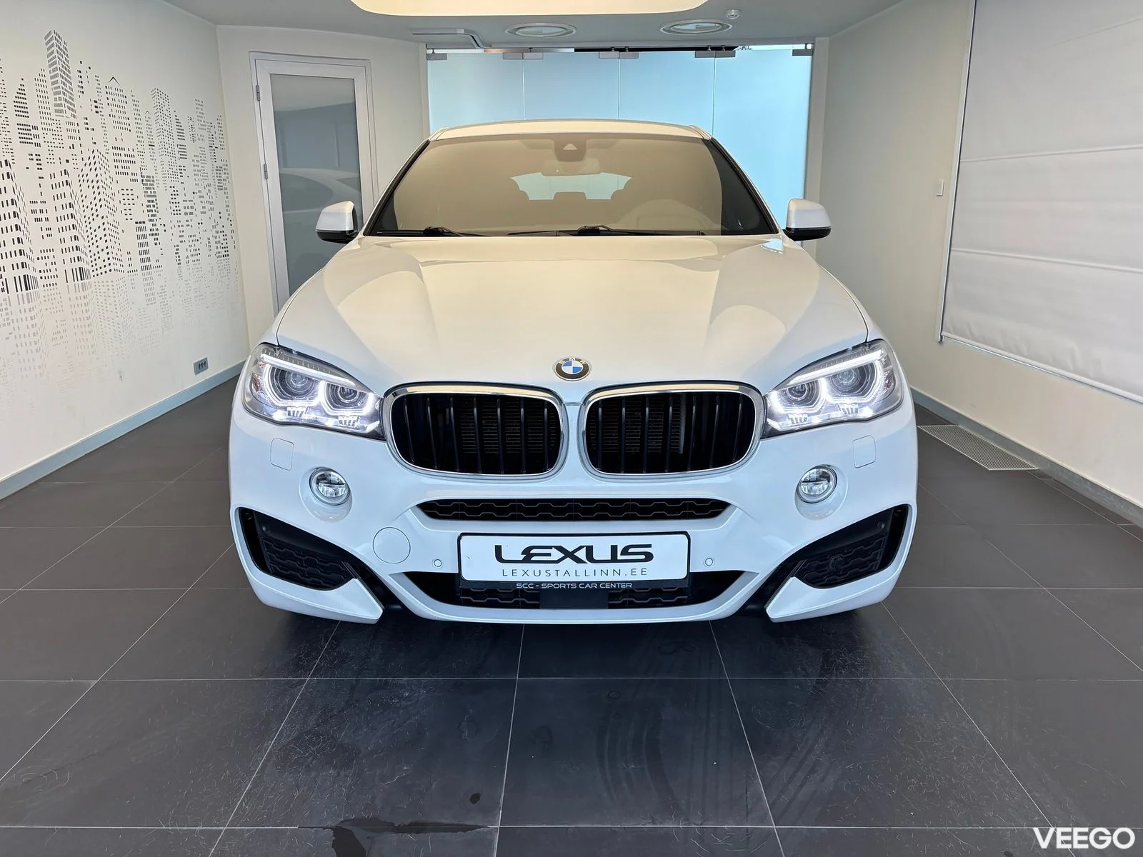 BMW X6 - 190kW