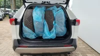 Toyota RAV4 129kW thumbnail
