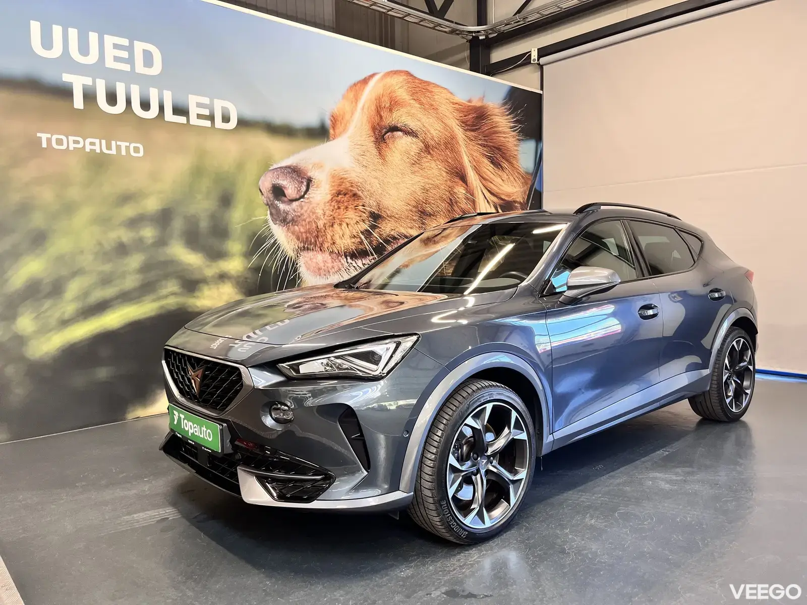 Cupra Formentor 2 228kW