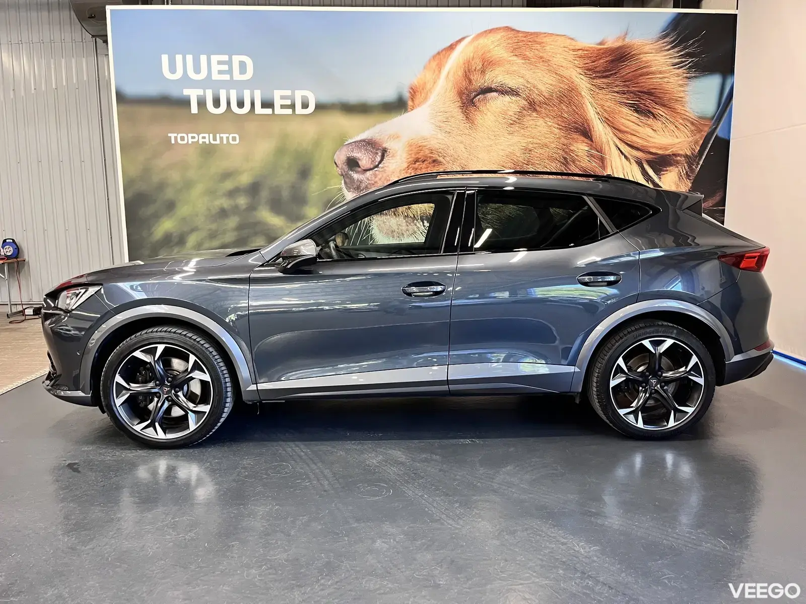 Cupra Formentor 2 228kW
