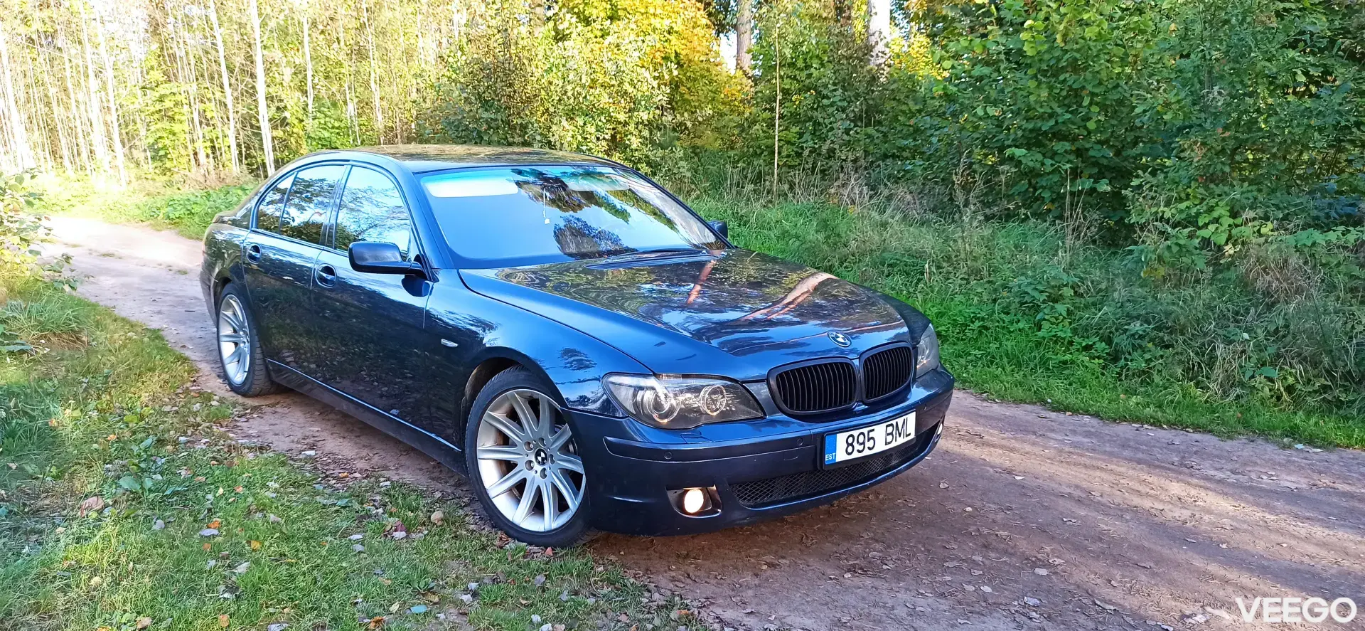 BMW 745 D 4.4 242kW