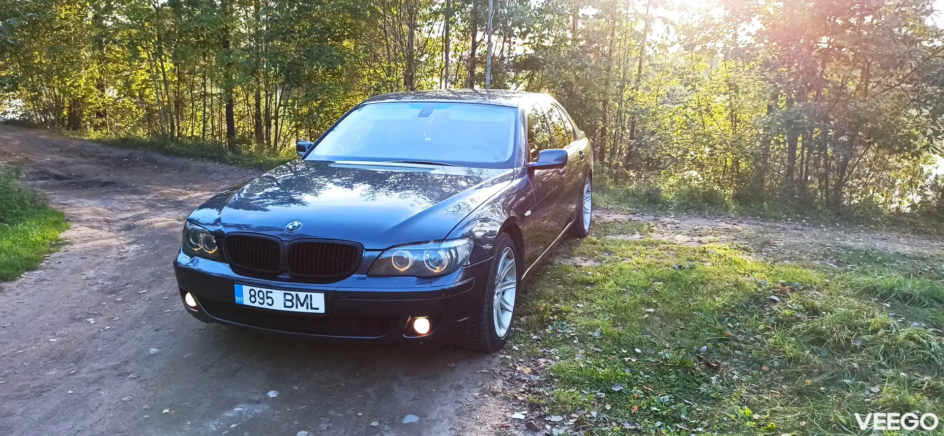 BMW 745 D 4.4 242kW