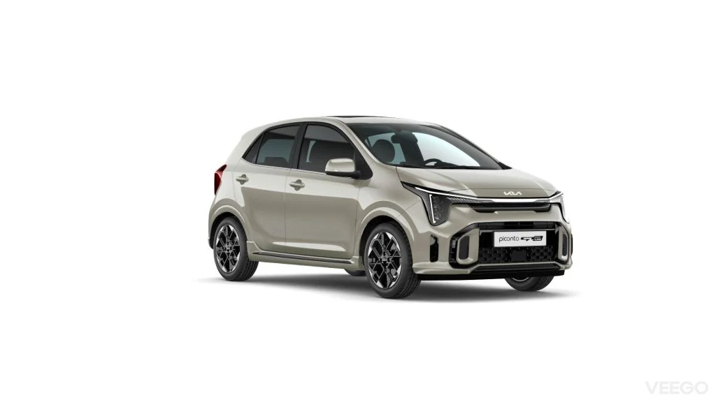 Kia Picanto EX 50kW