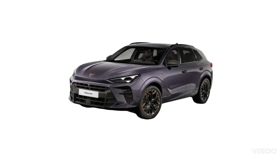 Cupra Terramar 1.5 110kW
