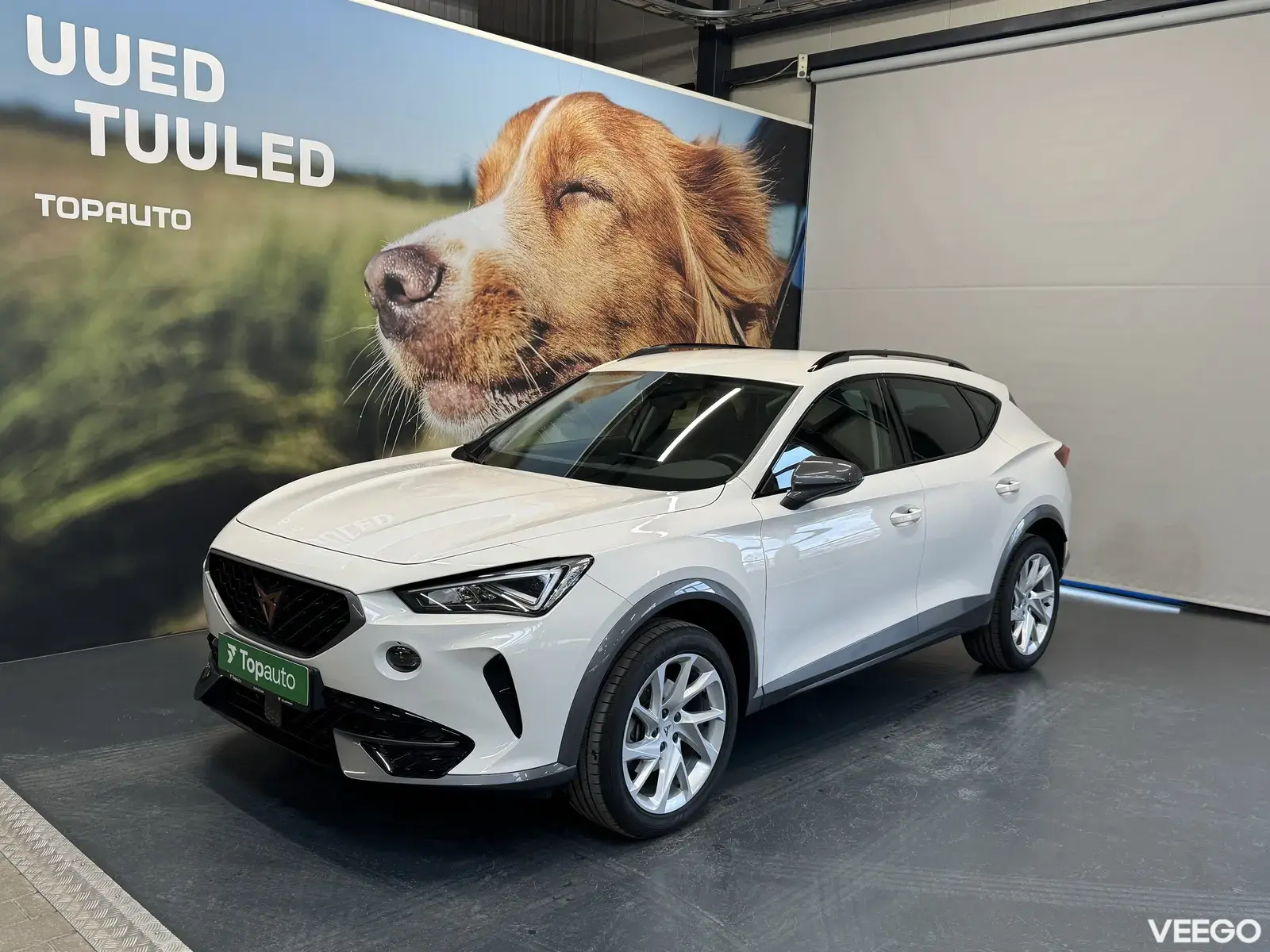 Cupra Formentor 1.5 110kW