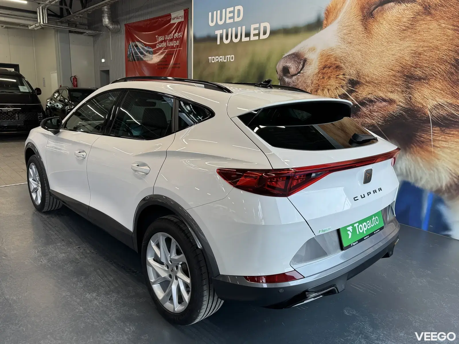 Cupra Formentor 1.5 110kW