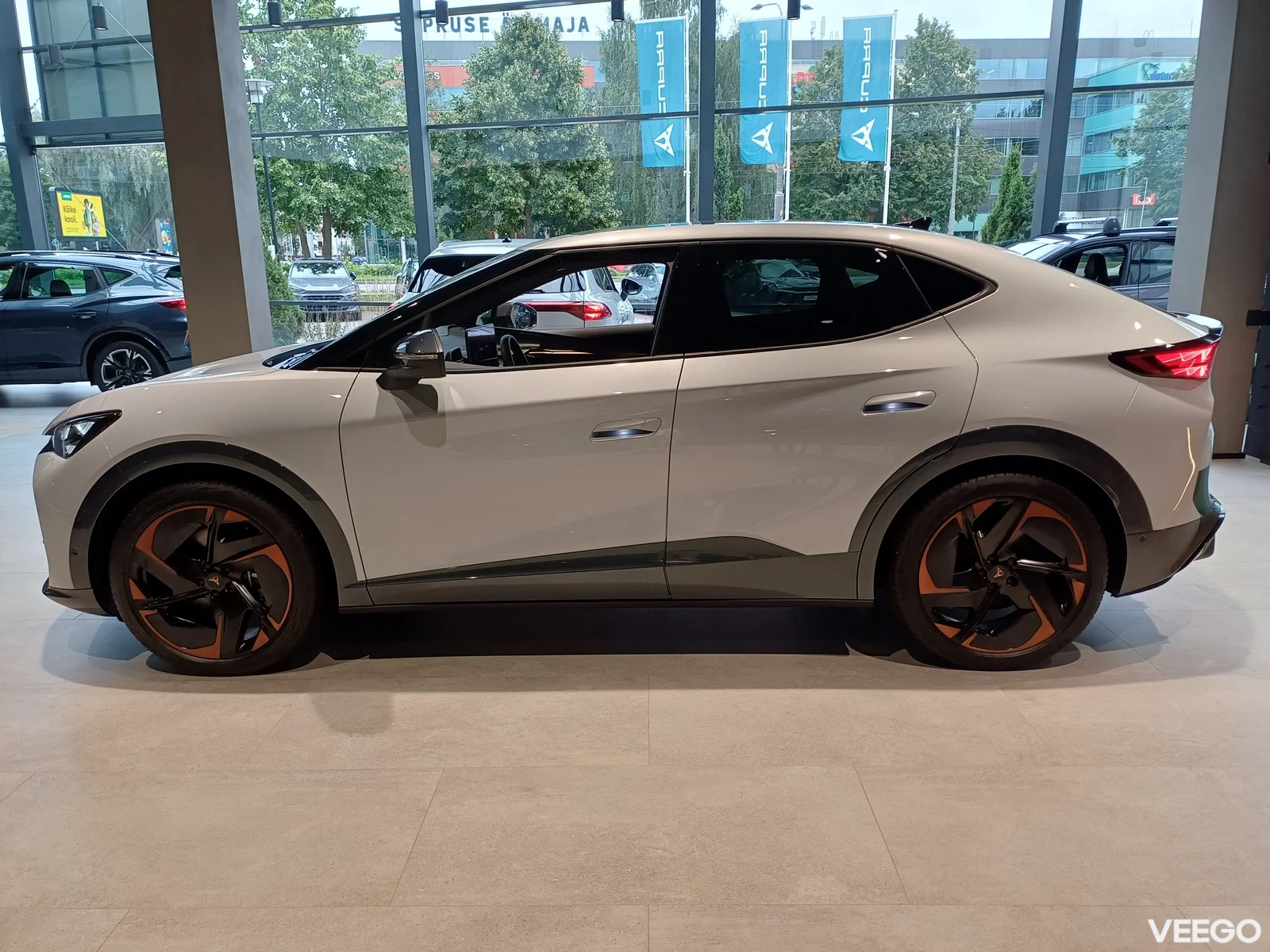 Cupra Tavascan 250kW