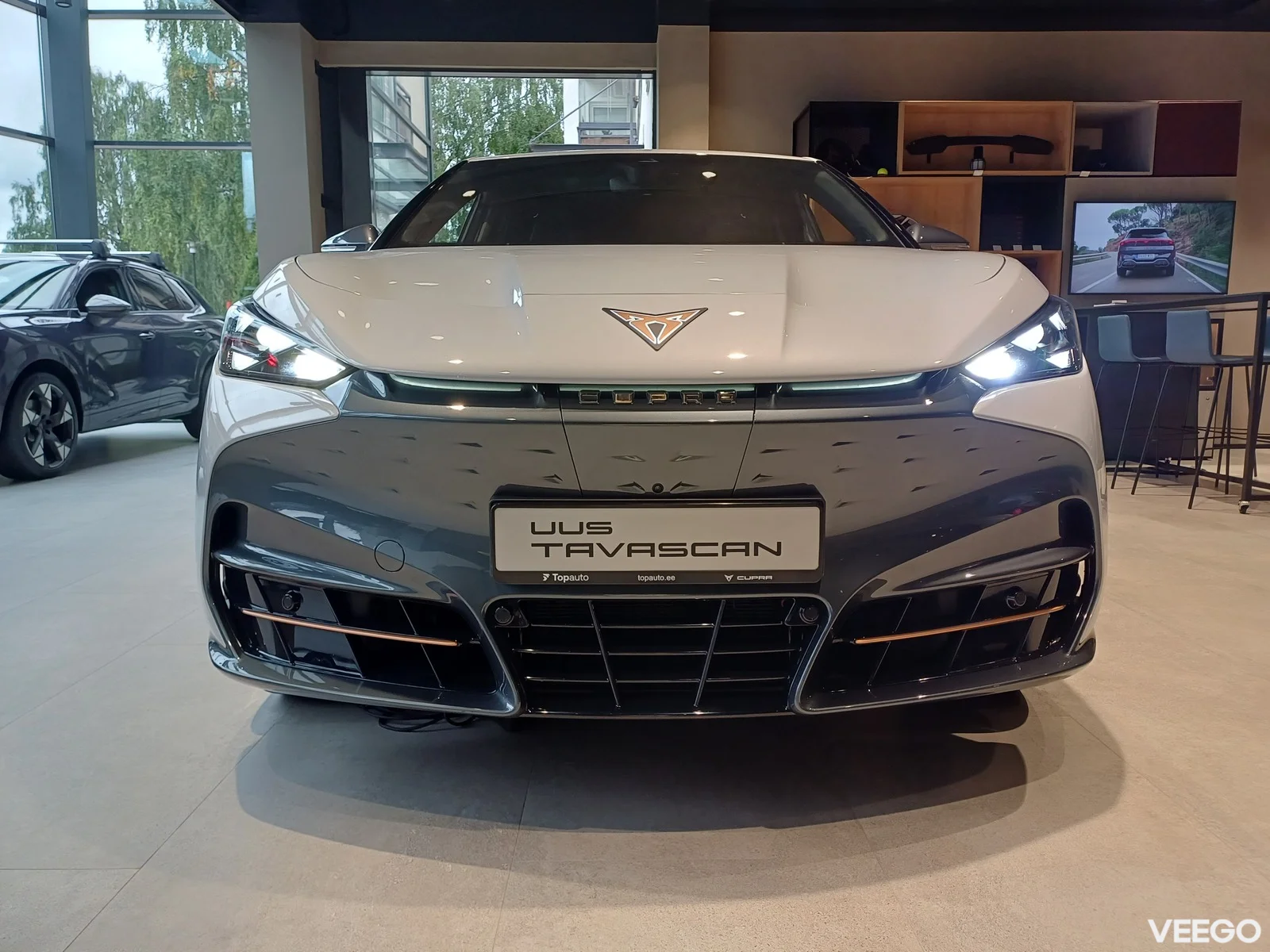 Cupra Tavascan 250kW