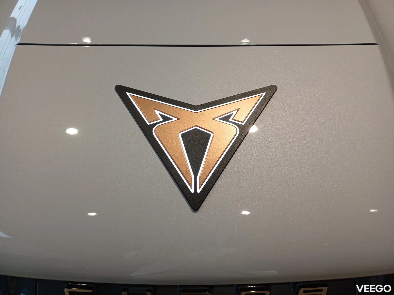 Cupra Tavascan 250kW