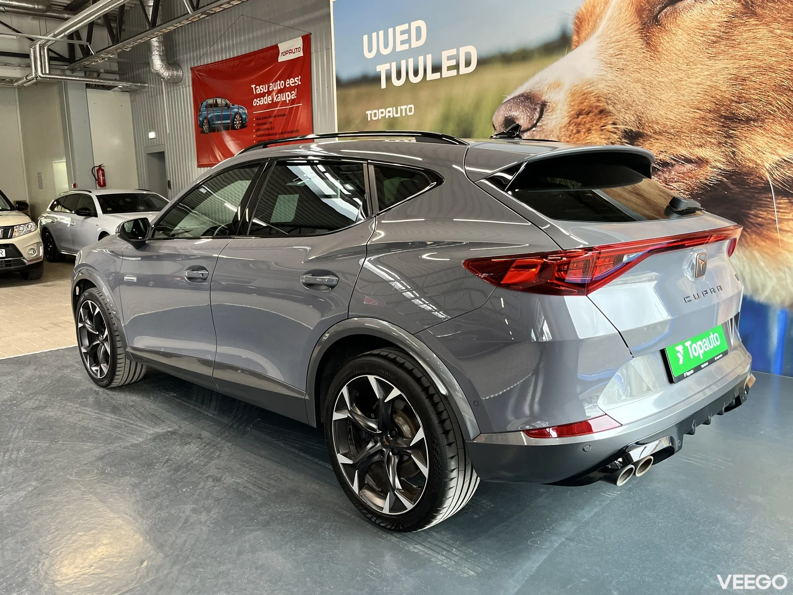 Cupra Formentor 2 228kW