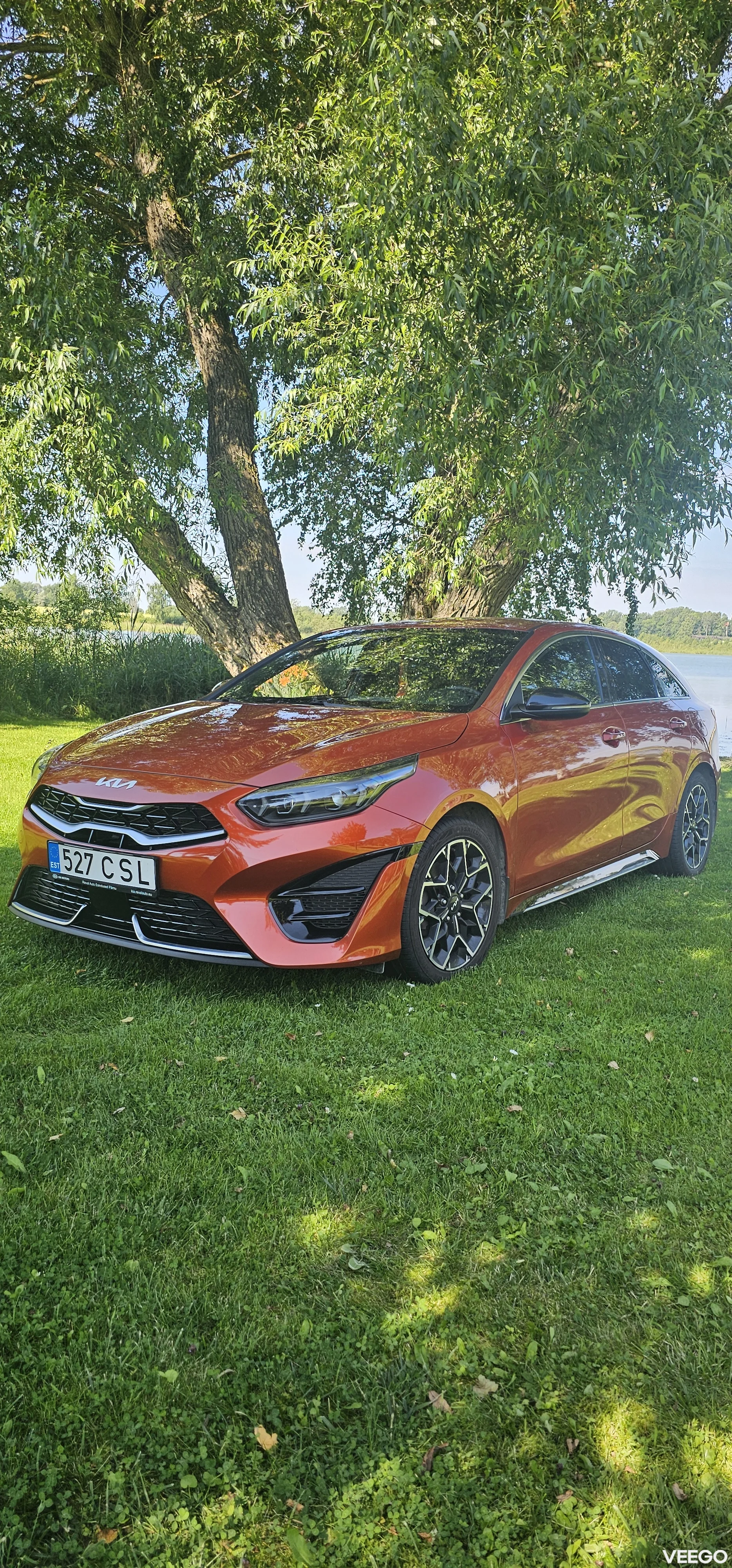 Kia Ceed: ProCeed 1.5 118kW