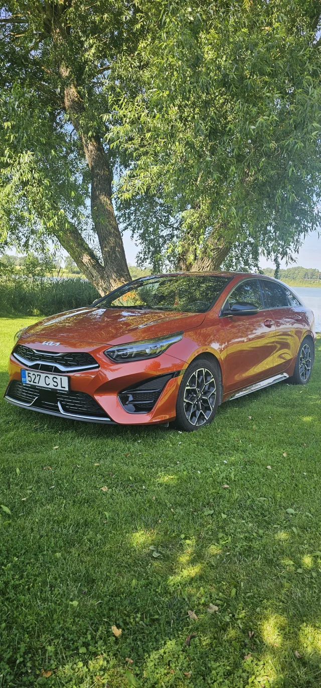 Image of Kia Ceed: ProCeed 1.5 118kW
