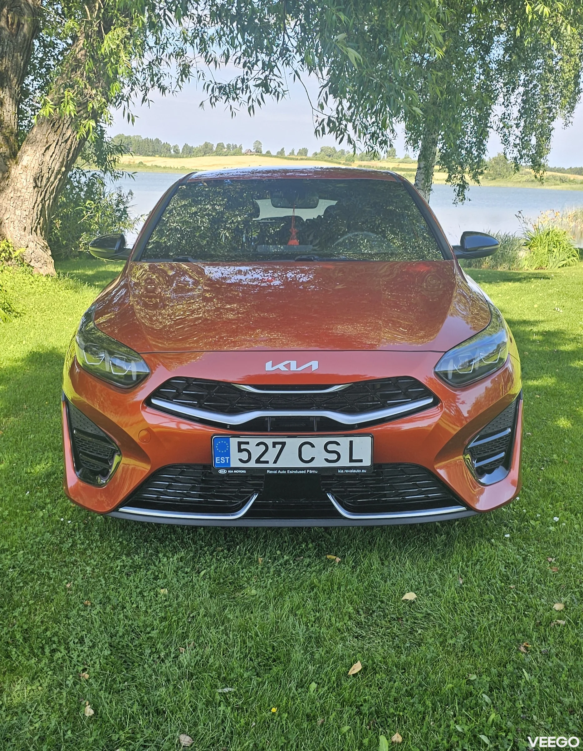 Kia Ceed: ProCeed 1.5 118kW