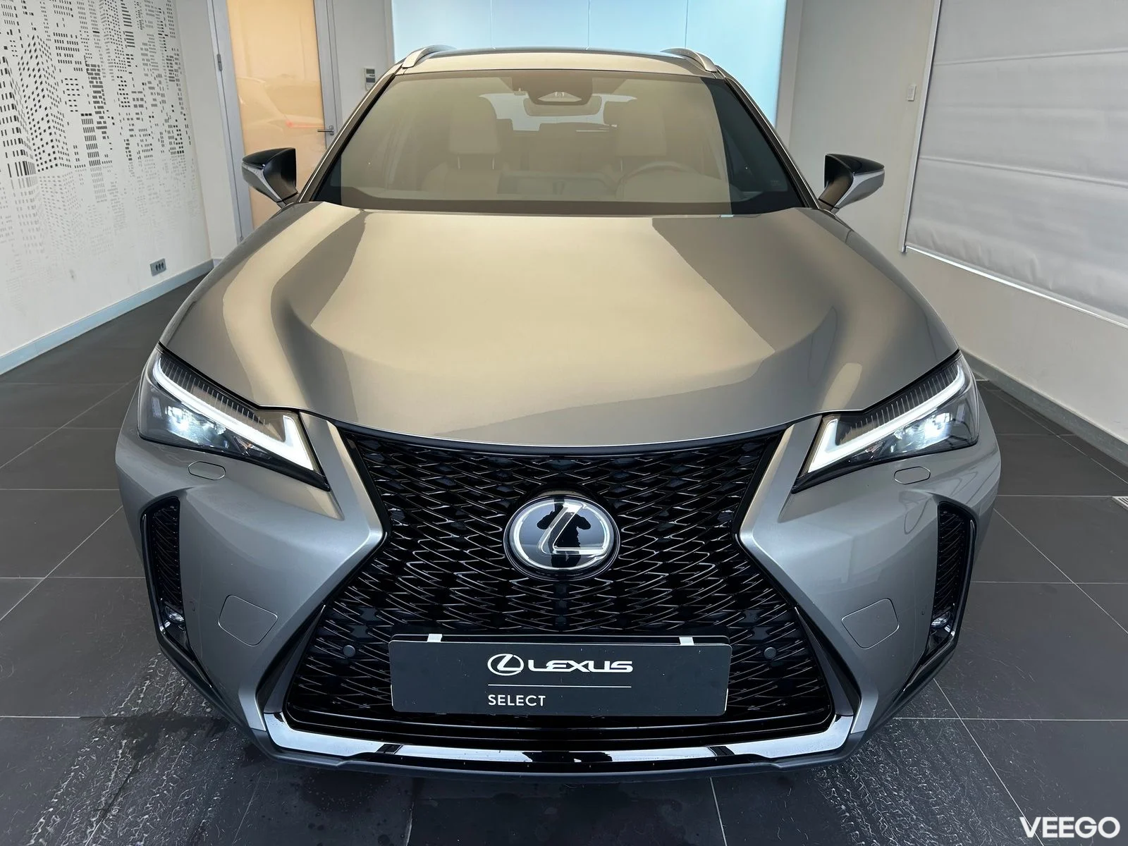 Lexus UX 300h - 112kW
