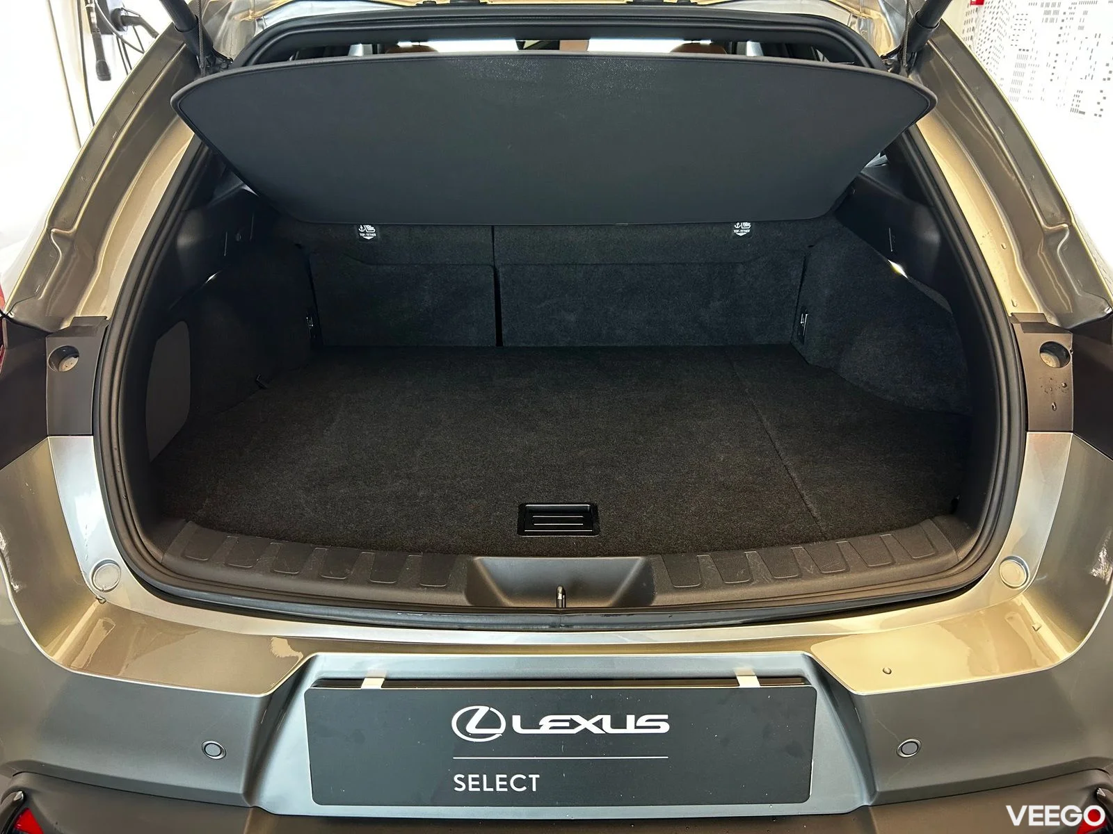 Lexus UX 300h - 112kW